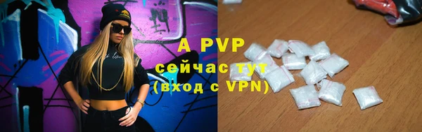 ГАЛЛЮЦИНОГЕННЫЕ ГРИБЫ Белокуриха