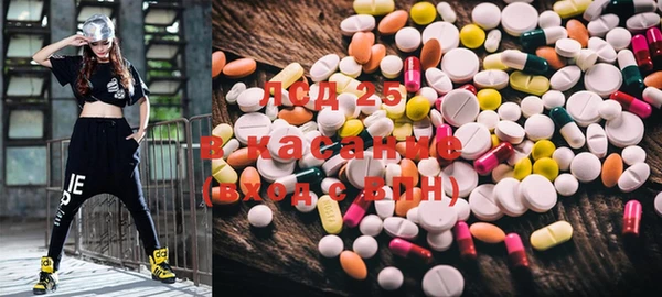 ГАЛЛЮЦИНОГЕННЫЕ ГРИБЫ Белокуриха