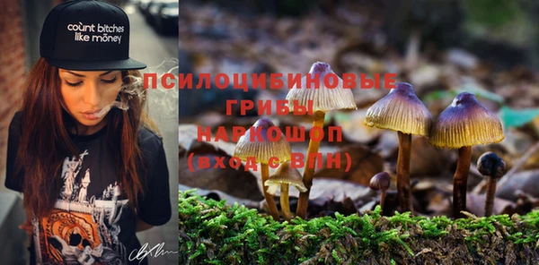 ГАЛЛЮЦИНОГЕННЫЕ ГРИБЫ Белокуриха