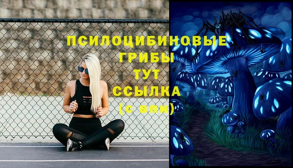 ГАЛЛЮЦИНОГЕННЫЕ ГРИБЫ Белокуриха