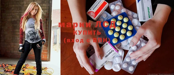 ГАЛЛЮЦИНОГЕННЫЕ ГРИБЫ Белокуриха